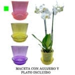 MACETA VIDRIO C/ PLATO FUXIA