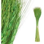 RAMILLETE ESPIGA VERDE 14X9X50