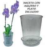 MACETA VIDRIO LISA 14X16 CM