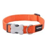 COLLAR NARANJA 25 MM X 41-63 CM