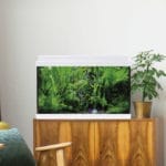 KIT AQUALED 33 L. BLANCO - Imagen 2