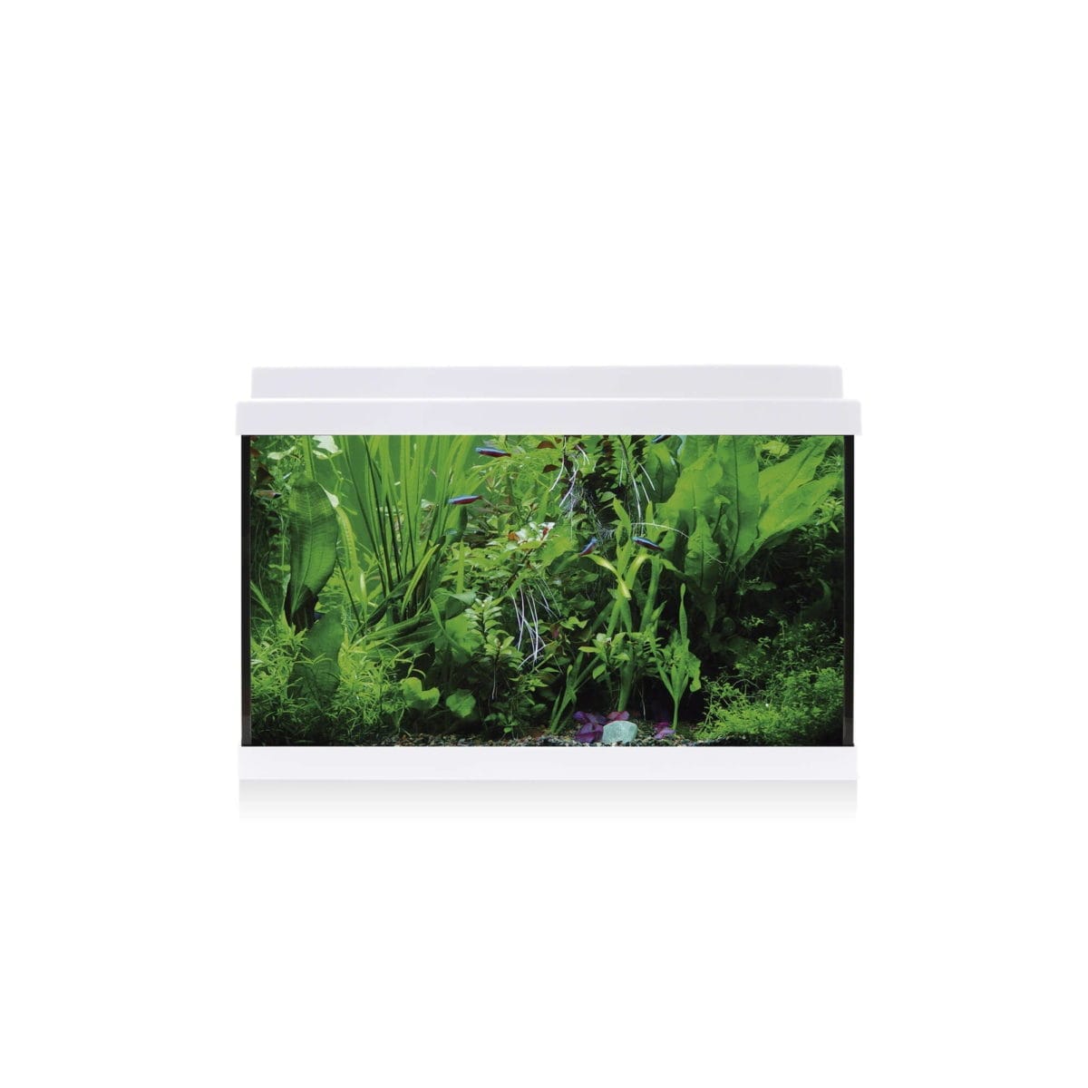 KIT AQUALED 33 L. BLANCO - Imagen 3