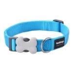 COLLAR TURQUESA 15 MM X 24-37 CM - Imagen 2