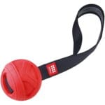 PELOTA ROJA C/ LANZADOR 7X7X35 - Imagen 2