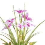 PLANTA FLOR ABIERTA ROSA - Imagen 3