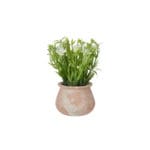 MACETA TERRACOTA FLORES BLANCAS