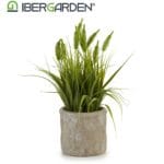 ESPIGA VERDE MACETA 12X12X30 CM