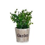 MACETA GARDEN PLANTA ESTRE 12X12