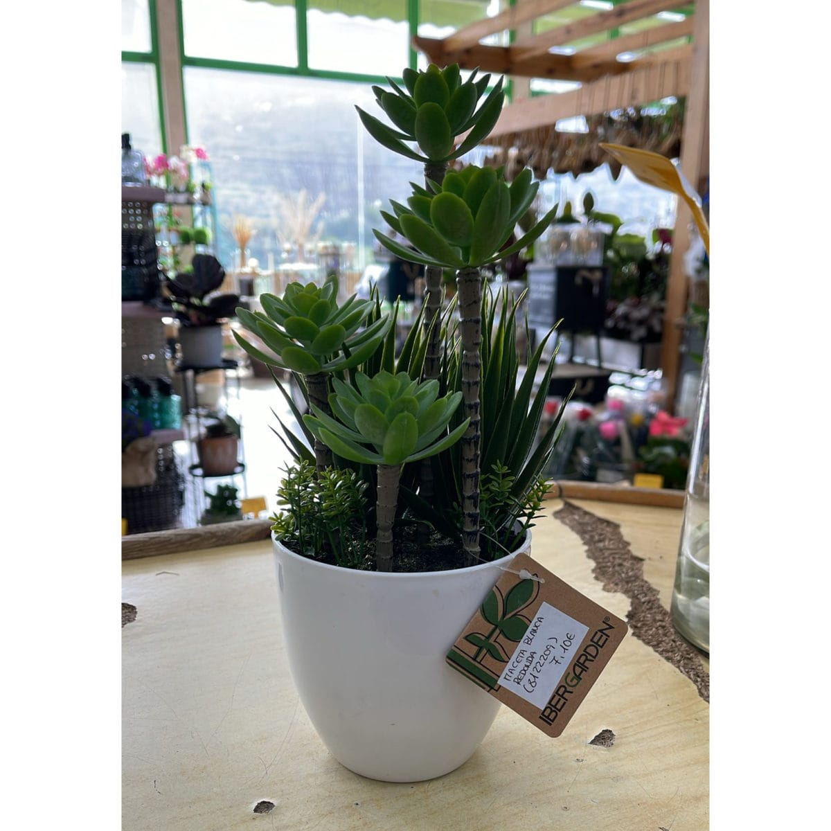 MACETA BLANC REDONDA 14X14X30 CM - Imagen 2