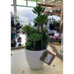 MACETA BLANC REDONDA 14X14X30 CM - Imagen 2