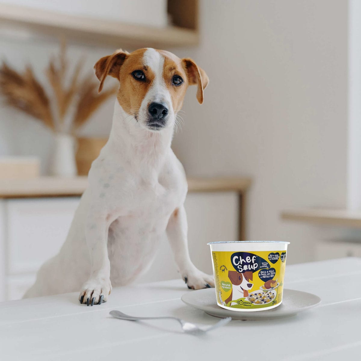 CHEF SOUP POLLO Y CALABAZA 50 GR - Imagen 2