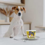 CHEF SOUP POLLO Y CALABAZA 50 GR - Imagen 2