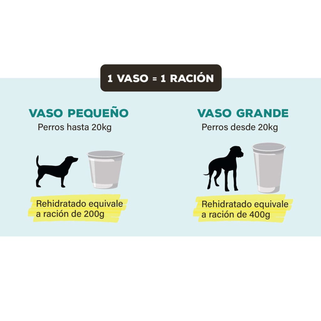 pf40103 sopa de cerdo con pedazos de jamon espinaca y zanahorias chef soup detalle 13598