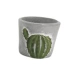 MACETERO CACTUS 1 RAMA 9X9 CM
