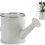 REGADERA BLANCO FILO PLATA