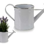 REGADERA GRANDE BL. FILO PLATA