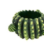 MACETERO CACTUS ANCHO  21X18 CM