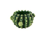 MACETERO CACTUS ANCHO 13X11 CM