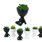 MACETERO SUCULENTAS HOMBRE