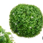 BOLA RED. 27 HOJAS VERDES FLORES