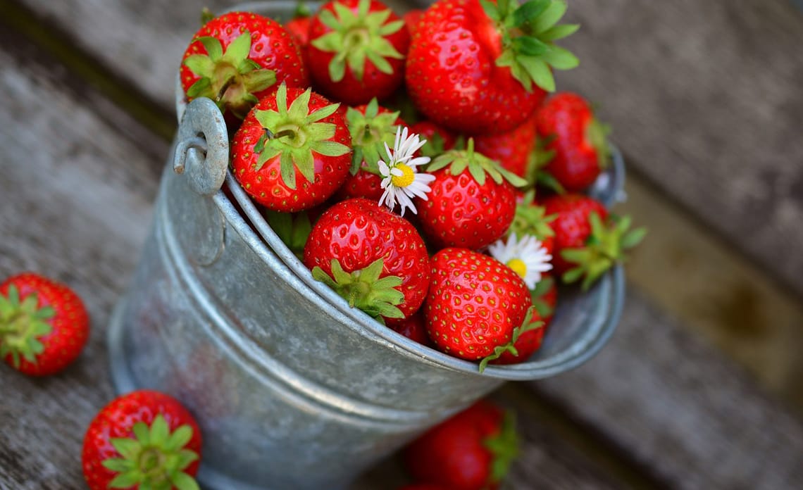 blog fresas