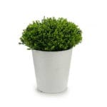 MACETA BL. FLOR VERDE 14X14X16