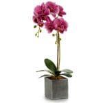 ORQUIDEA LILA CUADRADA GRIS 51 C