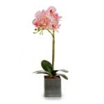 ORQUIDEA ROSA CUADRADA GRIS 51 C