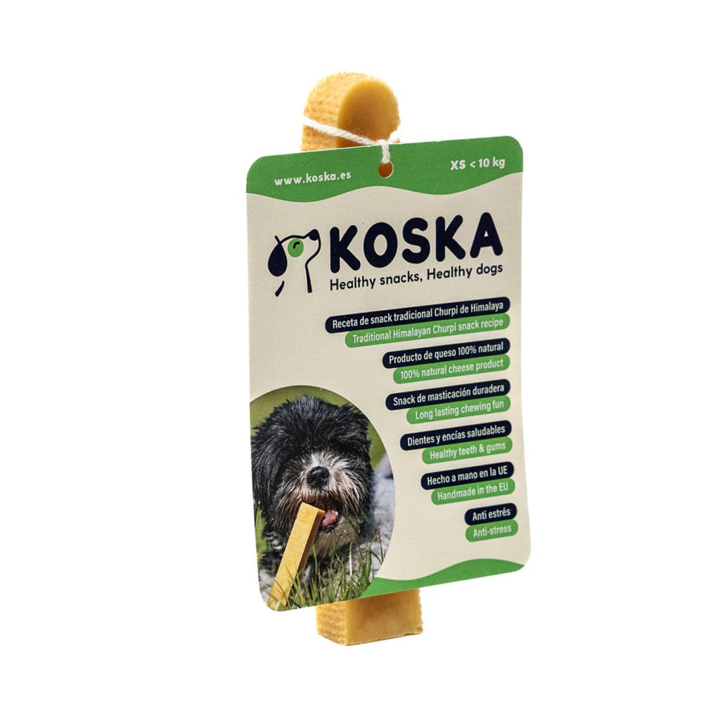 KOSKA XS 1