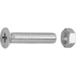 Gewindeschr. M5x25 vz PH 965 m