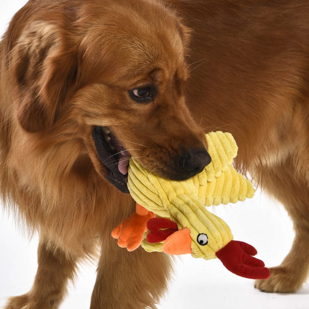 jpr1061 juguete gallina premier dog 20 cm detalle 13368