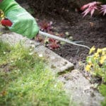 ESCARIFICADOR MANUAL C/ MANGO - Imagen 2