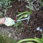 AZADILLA DOBLE MANUAL - Imagen 2