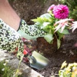 PALA MANUAL ESTRECHA C/ MANGO - Imagen 2