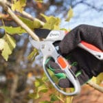 RATCHET TIJERA PODA 205MM ALUM - Imagen 4