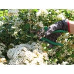 TIJERA JARDIN BYPASS - Imagen 2