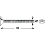 TUERCAS CAB.PLANA CINCADA 5X30 - Imagen 5