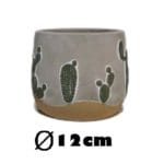 MACETA CACTUS 12X12 CM