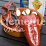 PIMIENTO DEL PICO (PIQUILLO)