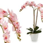 ORQUIDEA ROSA M. CONICA 77 CM