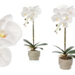 ORQUIDEA BLANCA 43 CM CEMENTO