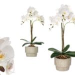 ORQUIDEA BLANCA 56 CM CEMENTO