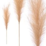 RAMA DECORATIVA BEIGE 110