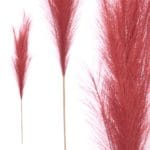 RAMA DECORATIVA CORAL 110