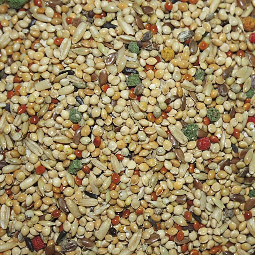 vitp115 alimento para periquitos vit pro en bolsa 5 kg detalle 4414