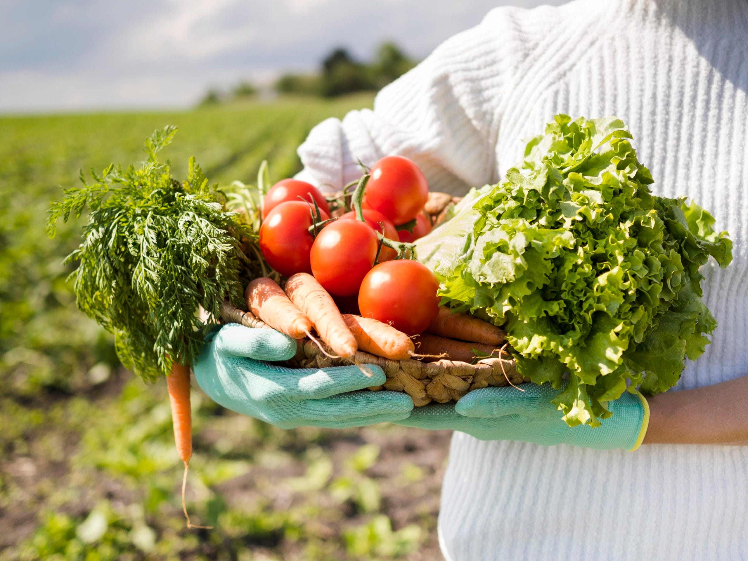 woman holding basket full different vegetables scaled