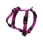 ARNES NYLON 30 MM. PURPURA