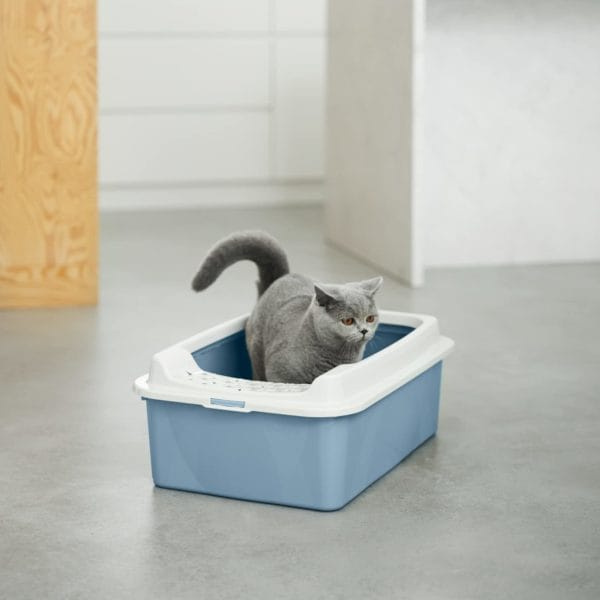 BONNIE CAT LITTER ROTHO BL. AZUL