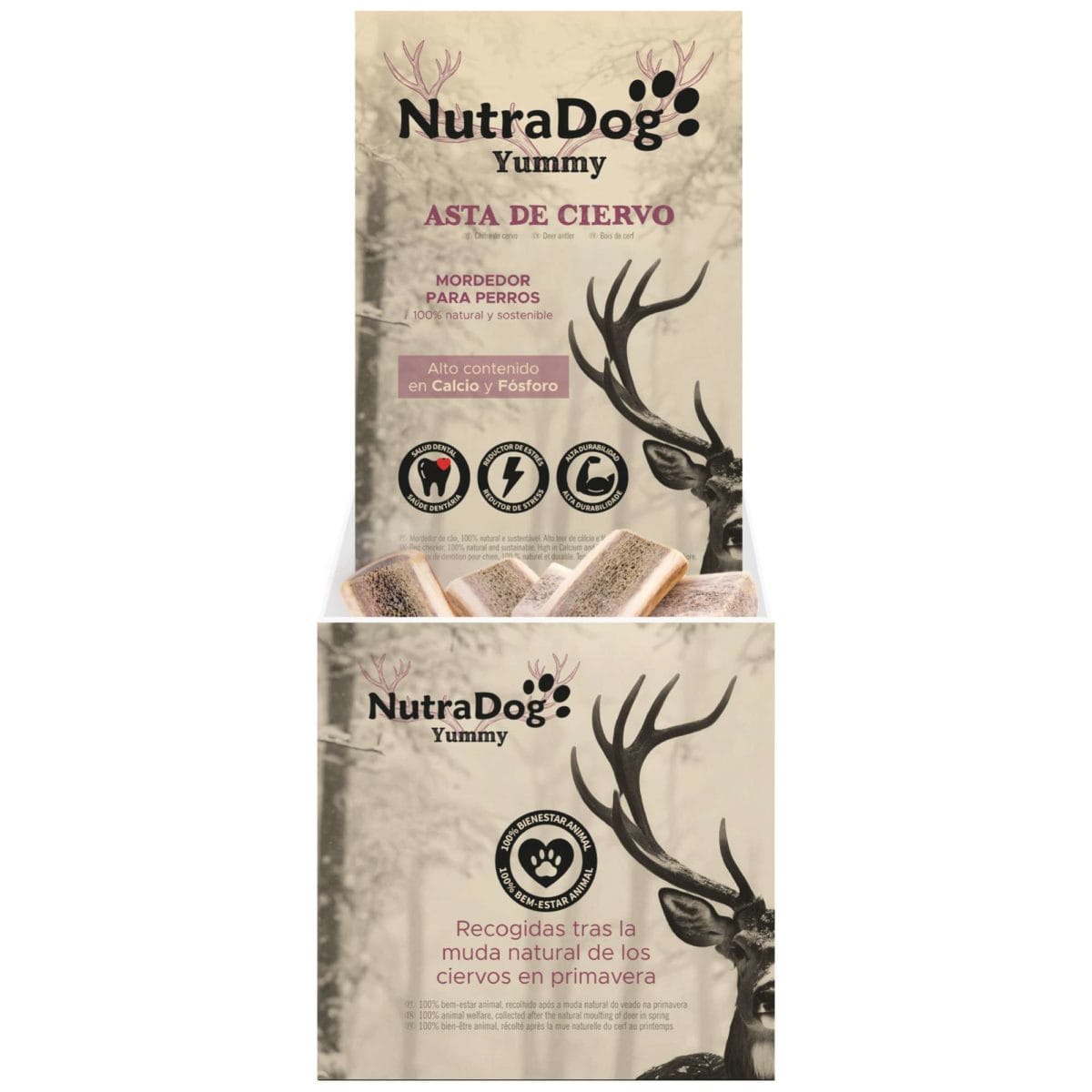 MEDIA ASTA DE CIERVO M. - Imagen 3