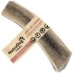 MEDIA ASTA DE CIERVO M.